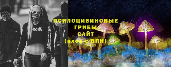 jwh Пересвет